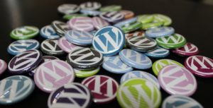 Read more about the article Wordpress – spletne strani za profije in amaterje